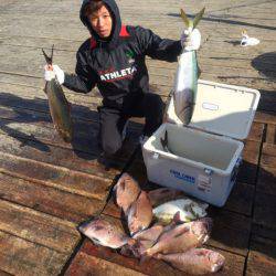 釣り堀水宝 釣果