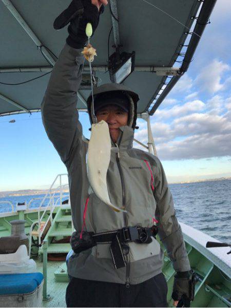 ヤザワ渡船 釣果