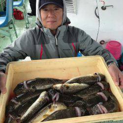 ヤザワ渡船 釣果