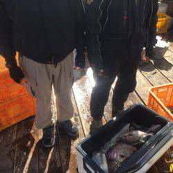 釣り堀水宝 釣果