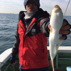 ヤザワ渡船 釣果