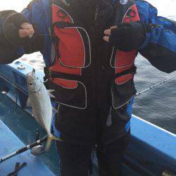 ヤザワ渡船 釣果