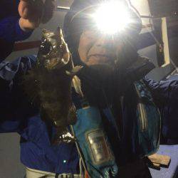 ヤザワ渡船 釣果