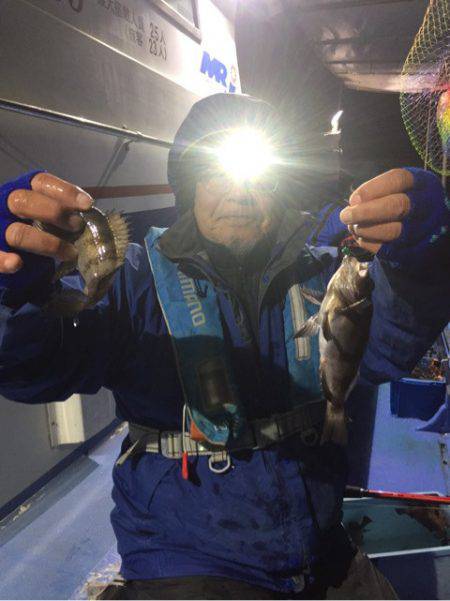 ヤザワ渡船 釣果