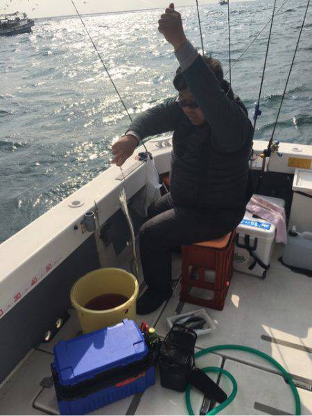 Ｖ−７ West 釣果