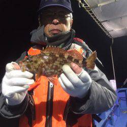 ヤザワ渡船 釣果