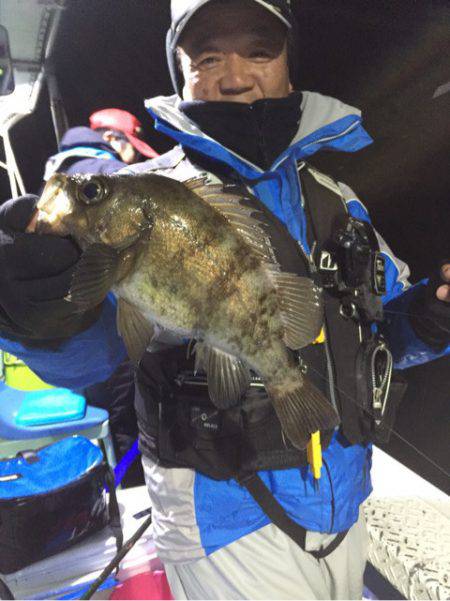 ヤザワ渡船 釣果