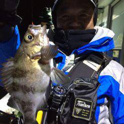 ヤザワ渡船 釣果