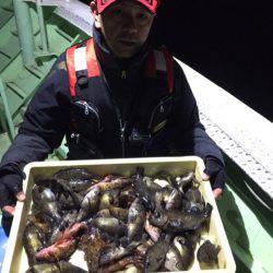 ヤザワ渡船 釣果