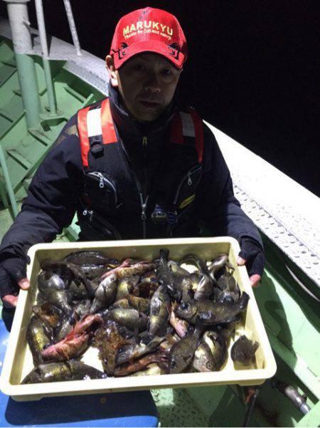 ヤザワ渡船 釣果