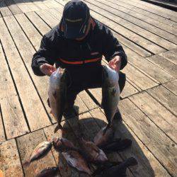 釣り堀水宝 釣果