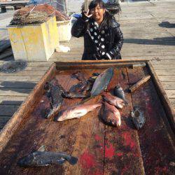 釣り堀水宝 釣果