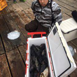 釣り堀水宝 釣果