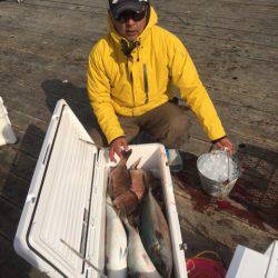 釣り堀水宝 釣果