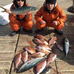 釣り堀水宝 釣果