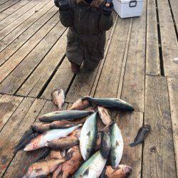 釣り堀水宝 釣果