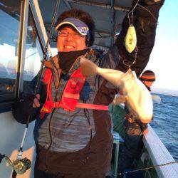 ヤザワ渡船 釣果