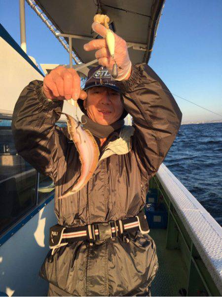 ヤザワ渡船 釣果