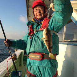 ヤザワ渡船 釣果