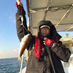 ヤザワ渡船 釣果