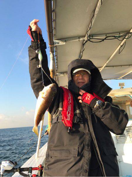 ヤザワ渡船 釣果