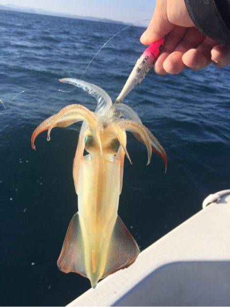 「LaGooN」蒼陽丸 日和号　 釣果