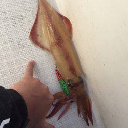 「LaGooN」蒼陽丸 日和号　 釣果