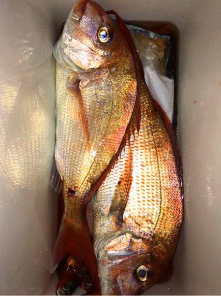 龍神丸（鹿児島） 釣果