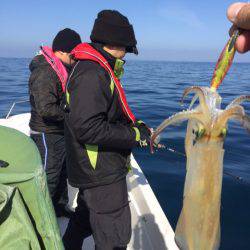 「LaGooN」蒼陽丸 日和号 釣果
