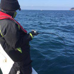 「LaGooN」蒼陽丸 日和号 釣果