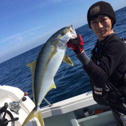 アマテラス 釣果