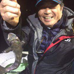 ヤザワ渡船 釣果