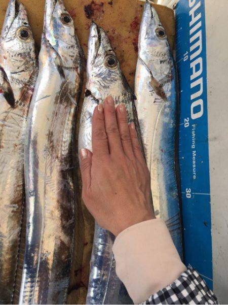 末広丸(熊本) 釣果