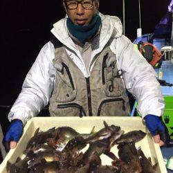 ヤザワ渡船 釣果