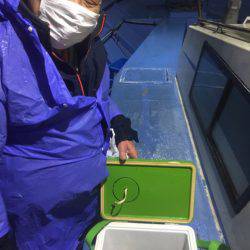 ヤザワ渡船 釣果