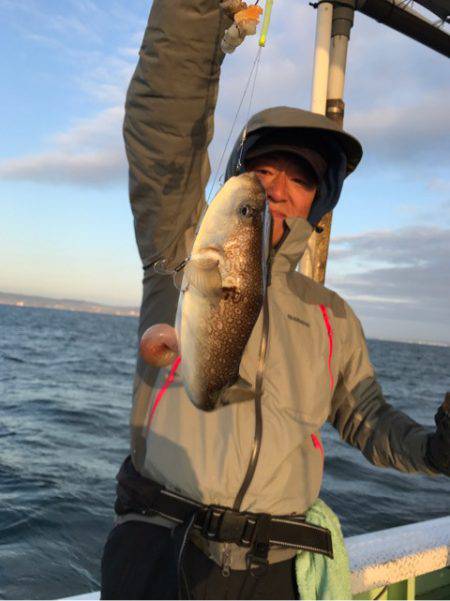 ヤザワ渡船 釣果