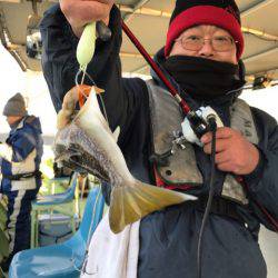 ヤザワ渡船 釣果