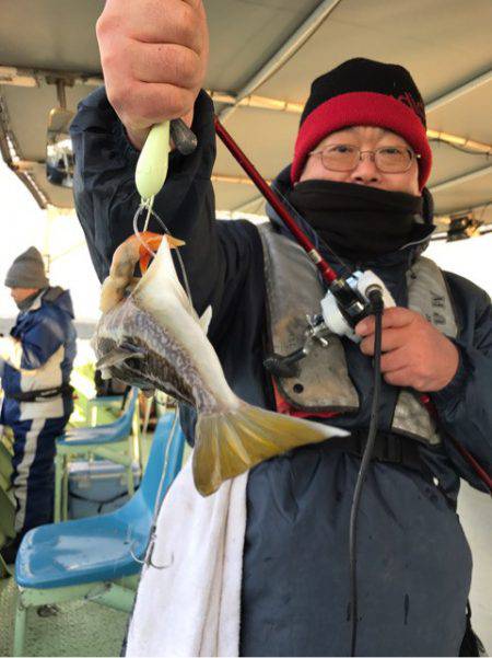ヤザワ渡船 釣果