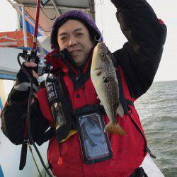 ヤザワ渡船 釣果