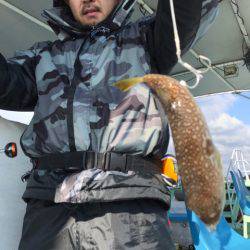 ヤザワ渡船 釣果