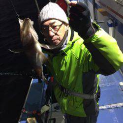 ヤザワ渡船 釣果