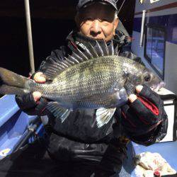 ヤザワ渡船 釣果