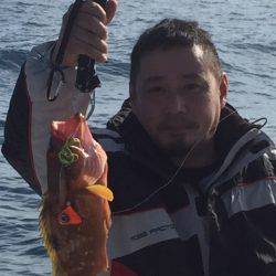 「LaGooN」蒼陽丸 日和号 釣果