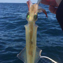 「LaGooN」蒼陽丸 日和号　 釣果