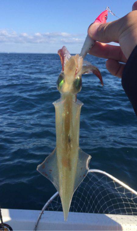 「LaGooN」蒼陽丸 日和号　 釣果