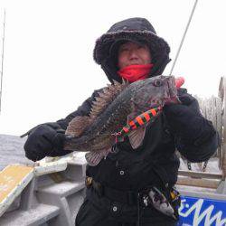 シーランチ 釣果