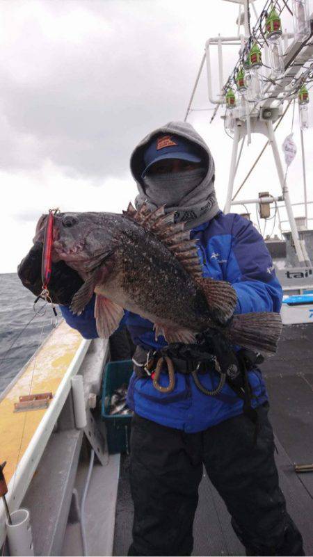 シーランチ 釣果