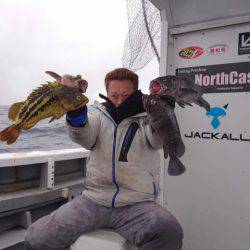 シーランチ 釣果