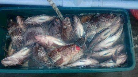 小樽港遊漁船SHAKE 釣果