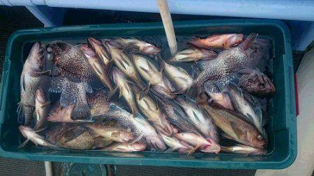 小樽港遊漁船ＳＨＡＫＥ 釣果